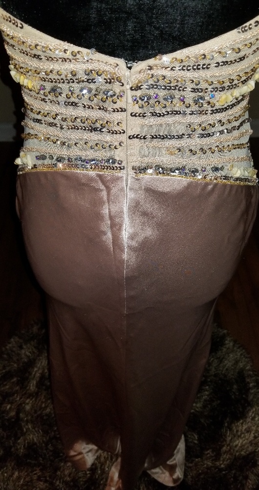 Champagne Beaded Vintage Cassandra Stone Dress - Picture 7 of 8